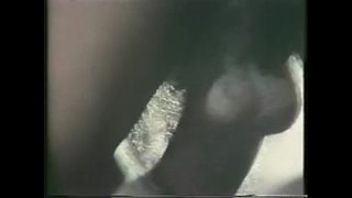 Vintage ສີ້ເພດສໍາພັນ ໑