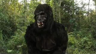 Дону Король&amp;#039;40oz тореш ы!