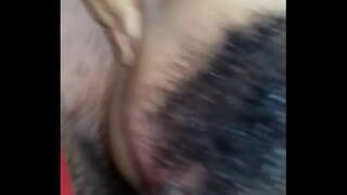 ���ໍາລັບກົ້ນ aflor