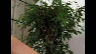 Ã�トロ-レズビアンの性別-シーン8-エキス2